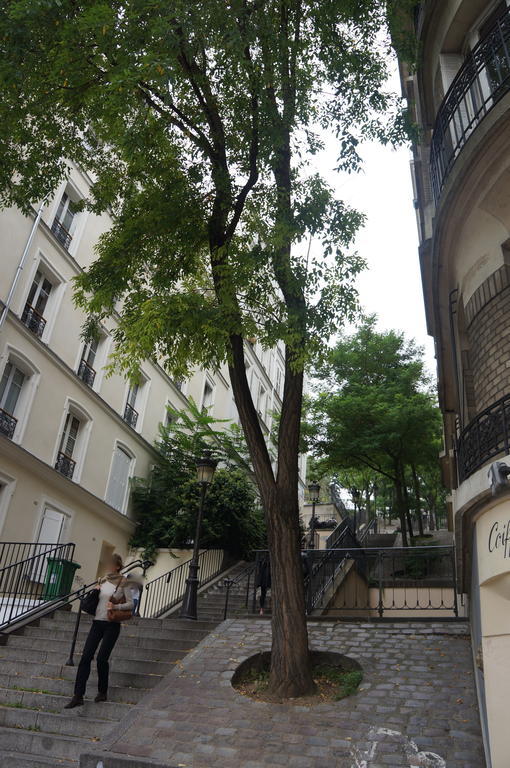 Studios De Charme A Montmartre Paris Eksteriør billede